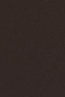 Chocolate plum (4015)