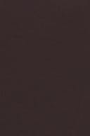 Chocolate plum (4015)