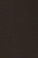 Chocolate plum (4015)