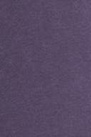 Dark purple (4221)