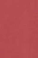 Living coral/juicy (3313)