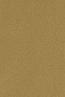 Cedar ditsy aop (6018)