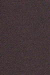 Seal brown