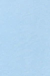 Chambray blue