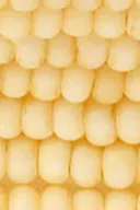 Butter yellow (2076)