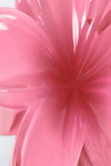 Pink/white