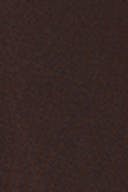 Chocolate plum (4015)