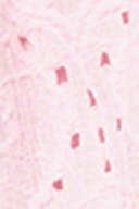 Ballet slipper (3119)