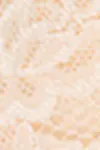 Golden apricot