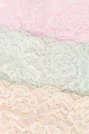 Golden apricot (2164)