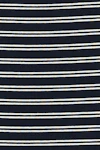 Black stripe