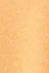 Sahara sun