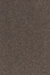 Taupe grey