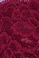 Spring garden (9723)