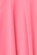 Coral (3847)