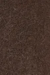 Chocolate brown