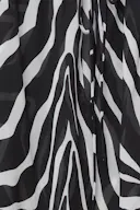 Zebra (9180)