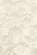 Cream (1047)