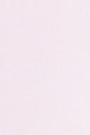 Ballet slipper (3119)