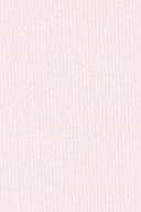 Ballet slipper (3119)