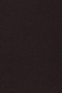 Chocolate plum (4015)