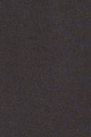 Chocolate plum (4015)