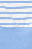 Blue stripe (5992)