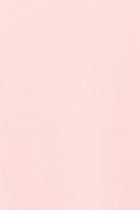 Ballet slipper (3119)