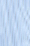 Blue/stripe