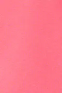 Coral (3847)
