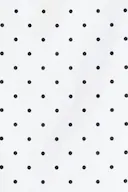 Black dot (9361)