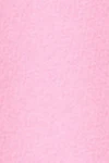 Begonia pink