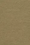 Slate green