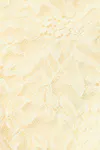 Anise flower
