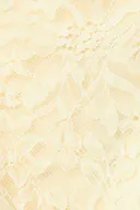 Anise flower (2205)
