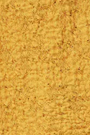 Calendule (2081)