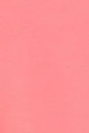 Coral (3847)