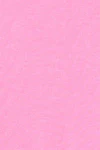 Begonia pink