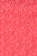 Coral (3847)