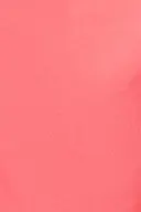 Coral (3847)