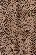 Leo (7169)