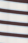 Brown/blue stripe