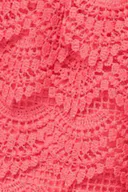 Coral (3847)
