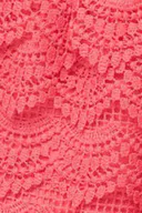 Coral (3847)