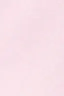 Ballet slipper (3119)