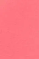 Coral (3847)