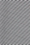 Black stripe