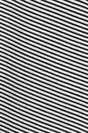 Black stripe
