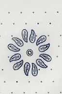 Paisley/aop (1146)