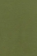 Black/green (6044)